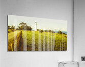 Wynyard lighthouse way Acrylic Print