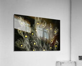 Of many eyes Acrylic Print