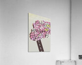 Gympie road Acrylic Print