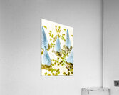 Summer inversion Acrylic Print