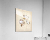 Quartz crystals Acrylic Print