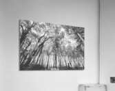 Parallels Acrylic Print