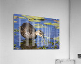 Duck Hunt Acrylic Print