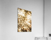 Law and justice abstract Acrylic Print