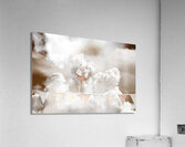 Sky Dance Acrylic Print