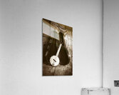 The banjo barn Acrylic Print