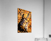Guitar and grill Acrylic Print