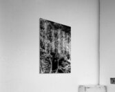 Tree dream Acrylic Print