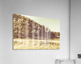 Mathinna farmyard field Acrylic Print