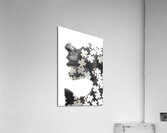 Jig Saw Acrylic Print