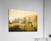 Quaint countryside scene of Glen Huon Acrylic Print