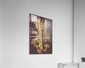 Master key Acrylic Print