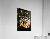 Splinters of finality Acrylic Print