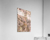 Awash in nature Acrylic Print