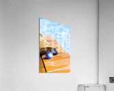 Summer Vacation Acrylic Print