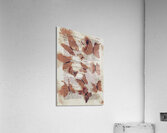 Exotic scripts Acrylic Print