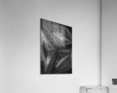 The atlas drift Acrylic Print