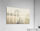 Winter Tasmania background Acrylic Print