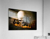Skull and cross-examination  Acrylic Print