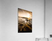 Cape Portland Tasmania Acrylic Print