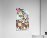 Electric beauty Acrylic Print