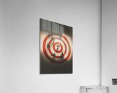 Pin point your target audience Acrylic Print
