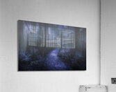 Mystery pathway Acrylic Print