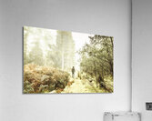 Mysterious trail Acrylic Print