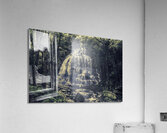 Natural wonder Acrylic Print