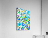 Adventures on icon reef Acrylic Print