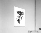 The inner core Acrylic Print