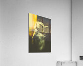 Night owl Acrylic Print