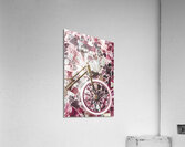 Love courier Acrylic Print