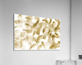 Beige buoyancy Acrylic Print