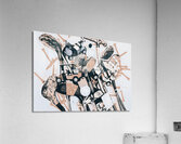 The golf bug Acrylic Print