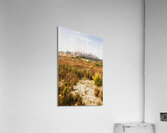 Rugged Australian bushland Acrylic Print