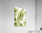 Jungle greens Acrylic Print