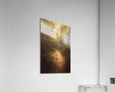 Trailing mystery Acrylic Print