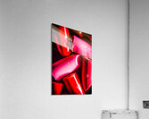Lipgloss and letdown Acrylic Print