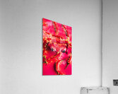 Chili con crab Acrylic Print