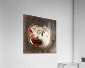 Pressing issues of a window POW Acrylic Print