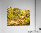 Island inland Acrylic Print