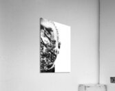 In Vision Acrylic Print