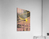 Vintage skateboard ruling the road Acrylic Print