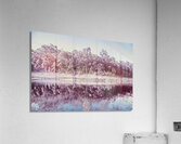 Wild Frost Acrylic Print