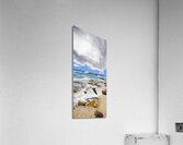 A Flight Of Hope Acrylic Print