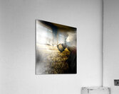 Field Of Terror Acrylic Print