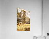 Vivid tree in a outback Australia Acrylic Print