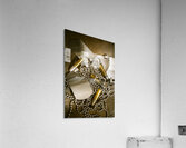 Courage and bravery Acrylic Print