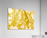 In fall Acrylic Print